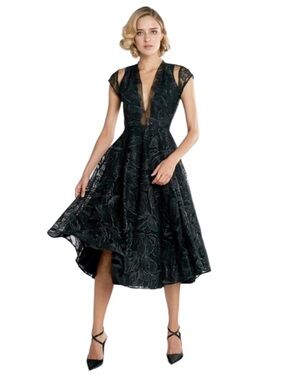 Sau Lee Alyssa Embroidered Mesh Fit-and-Flare Midi Dress - Size 6
